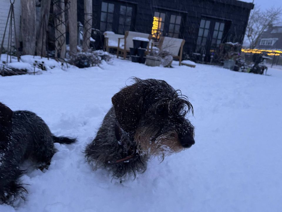 Brammetje en Saartje spelen in de sneeuw